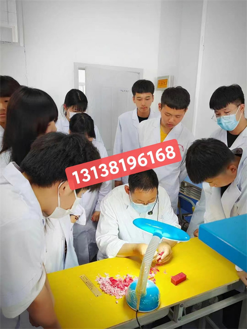 石家莊白求恩醫(yī)學院升學對口高考和單招有什么區(qū)別？