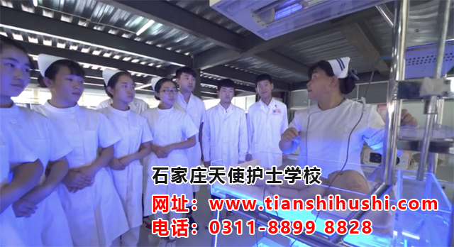 2026年石家莊天使護(hù)士學(xué)校報(bào)名錄取條件