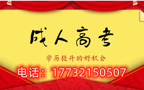 干貨！備考必讀，成考不踩雷！