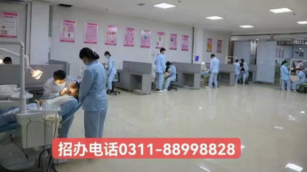 石家莊天使護(hù)士學(xué)校2026年秋季招生專業(yè)介紹(官方發(fā)布)